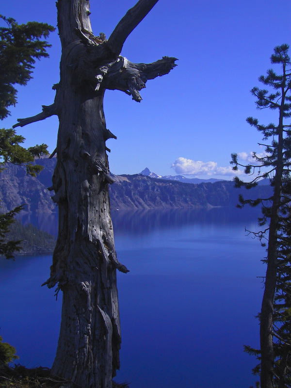 Snag And Crater Lake